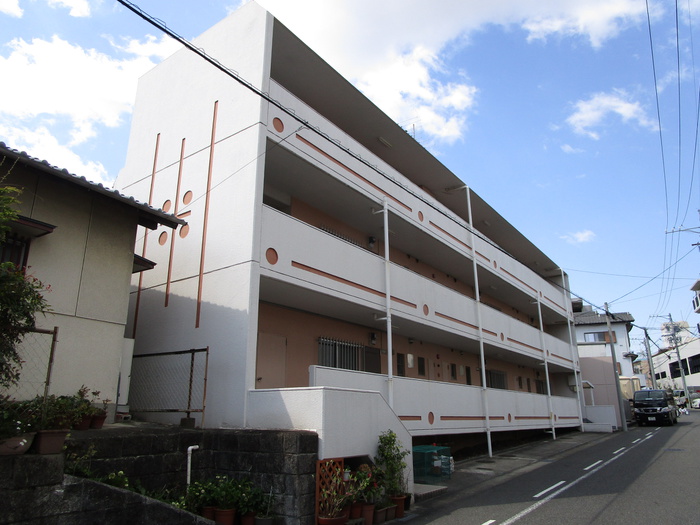 水野　善之